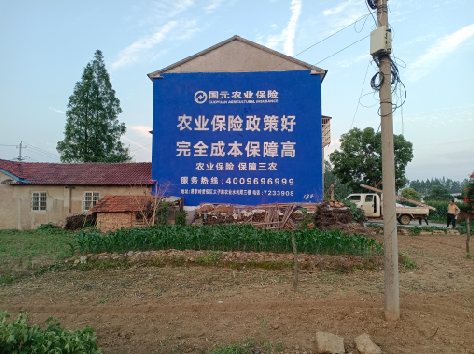 罗城墙体广告的优劣势你知道吗？