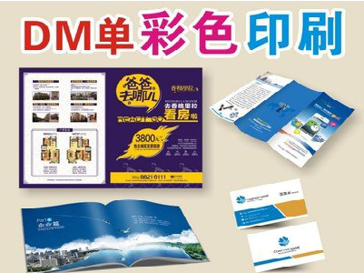 罗城单页印刷，色彩搭配简单。